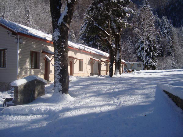 Планинска гледка